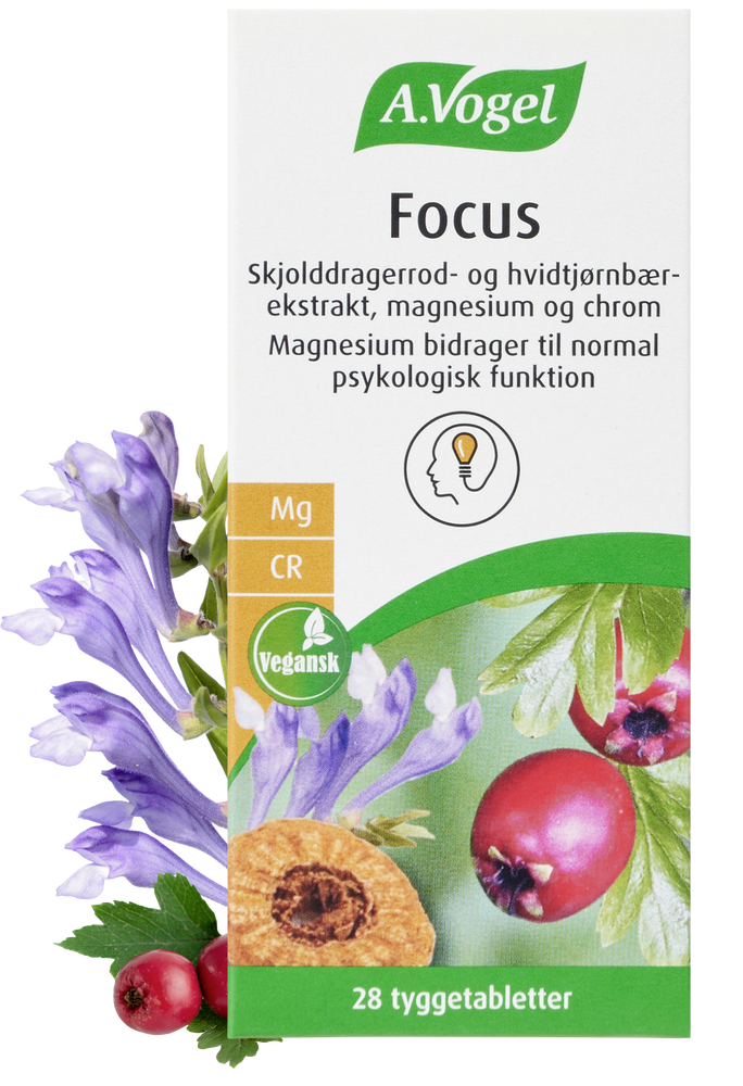 A. Vogel Focus 28 Tyggetabletter med Magnesium og Chrom