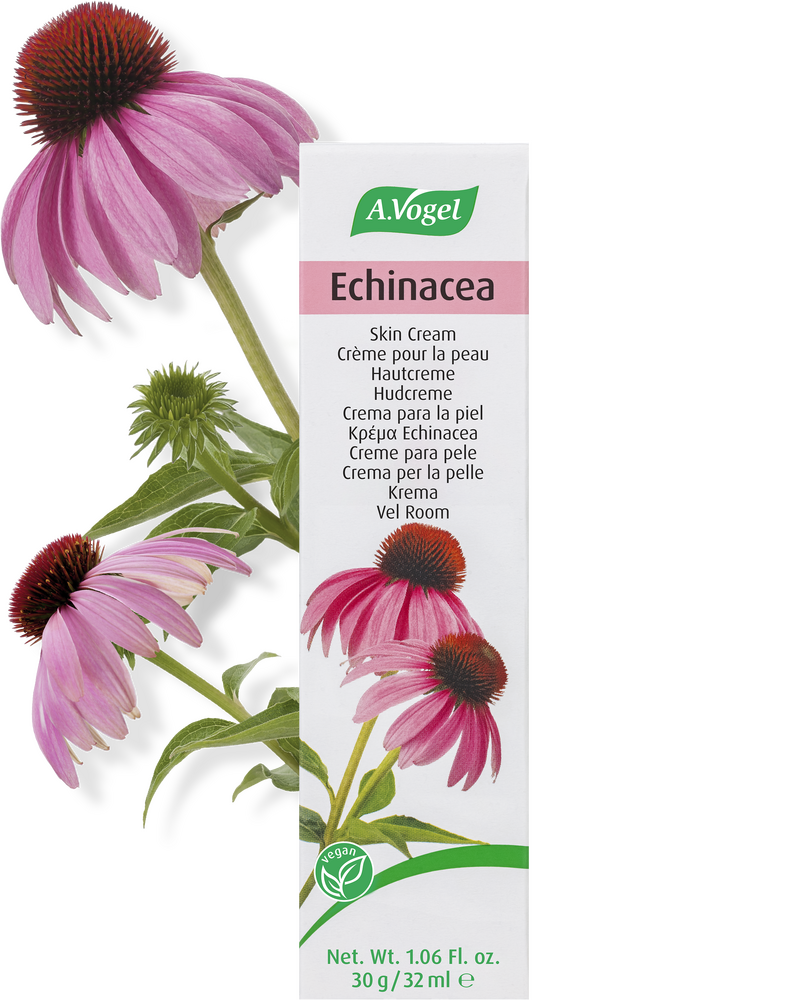 A  Vogel Echinacea Creme 32ml