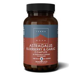 Astragalus Elderberry   Garlic Complex   50 Kap