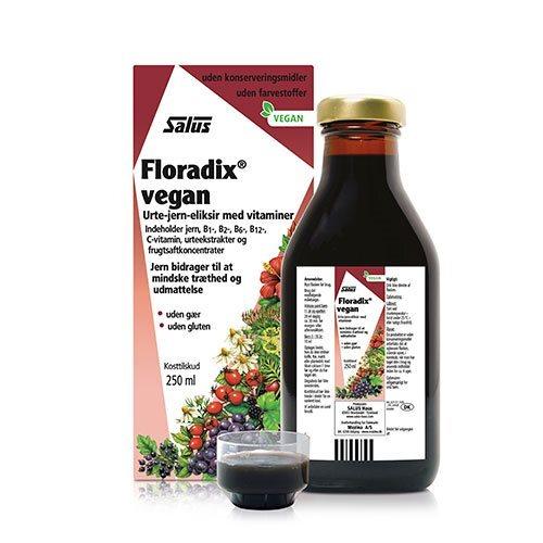 Floradix Vegan Jern 250 Ml - Energigivende kosttilskud