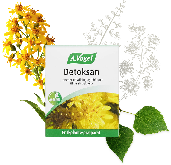 A Vogel Detoksan   60 Tabletter  U