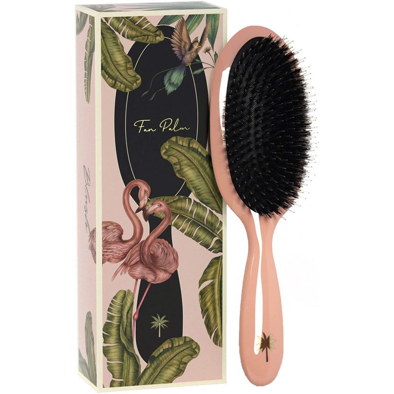 Fan Palm Hair Brush Medium   Blush